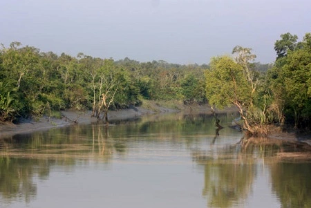 Best Places to Visit in Sundarban: Unforgettable Trip
